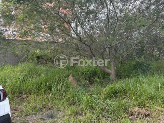 Terreno venda em Aberta dos Morros, Porto Alegre