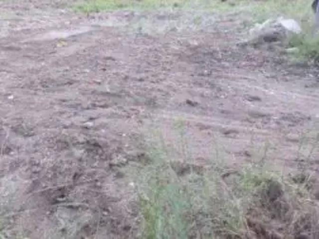Terreno venda em Hípica, Porto Alegre