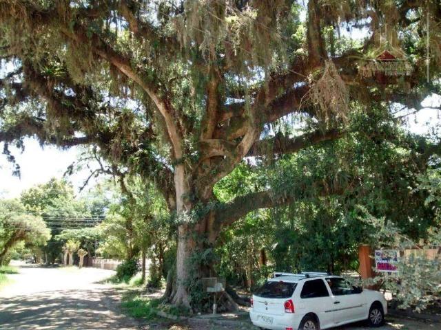 Terreno venda em Região Geográfica Imediata de Porto Alegre, Região Metropolitana de Porto Alegre