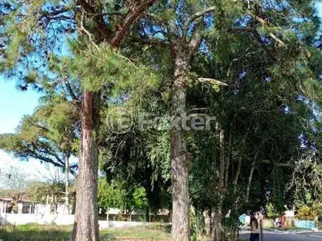 Terreno venda em Região Geográfica Imediata de Porto Alegre, Região Metropolitana de Porto Alegre