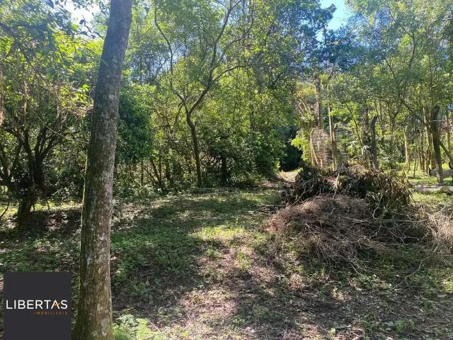 Terreno venda em Região Geográfica Imediata de Porto Alegre, Região Metropolitana de Porto Alegre