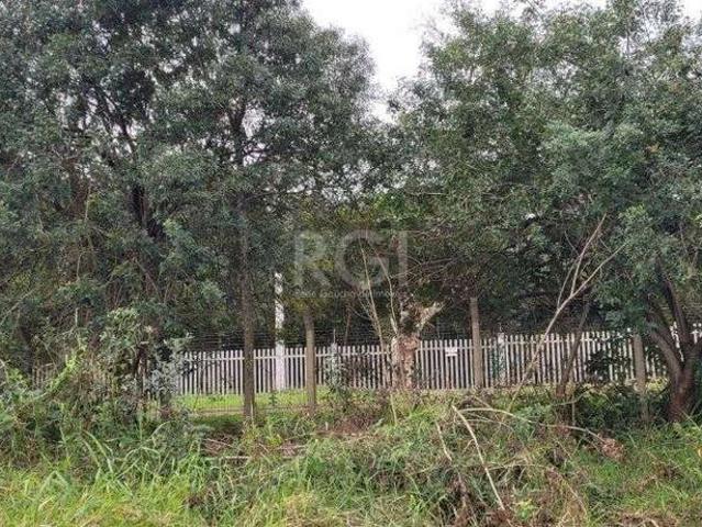 Terreno venda em Campo Novo, Porto Alegre