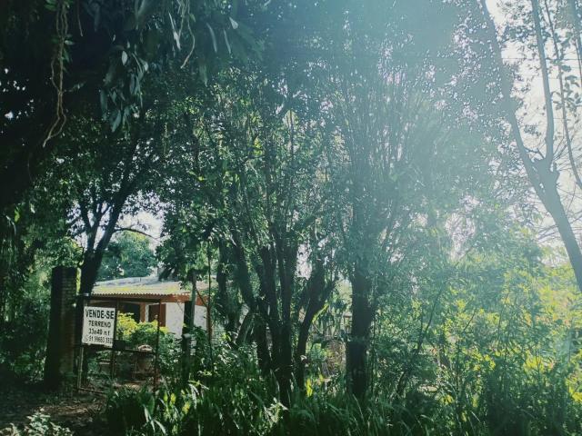 Terreno venda em Campo Novo, Porto Alegre