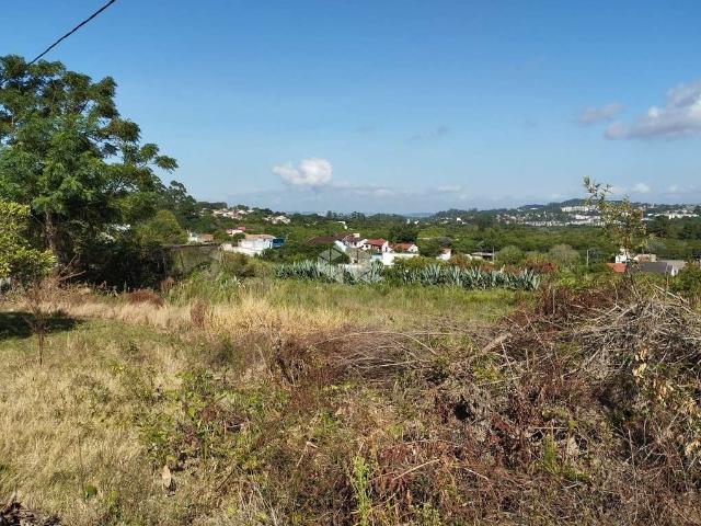 Terreno venda em Região Geográfica Imediata de Porto Alegre, Região Metropolitana de Porto Alegre