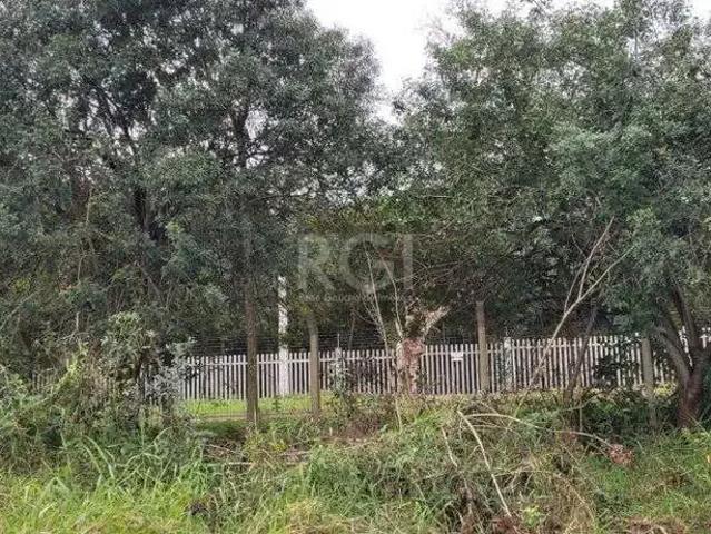 Terreno venda em Campo Novo, Porto Alegre
