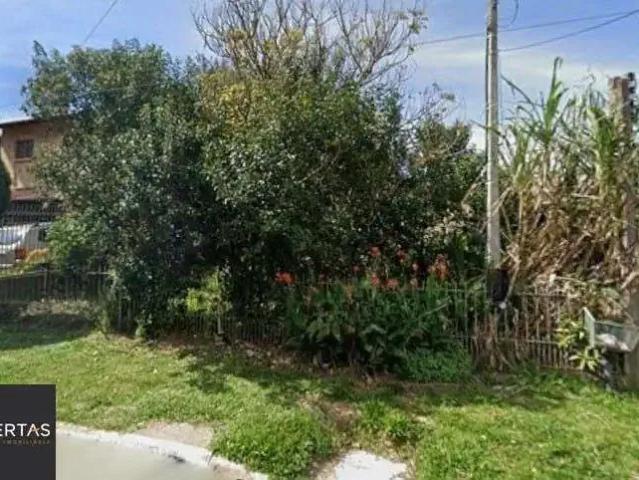 Terreno venda em Campo Novo, Porto Alegre