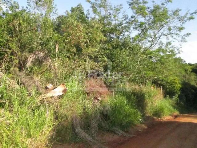 Terreno venda em Região Geográfica Imediata de Porto Alegre, Região Metropolitana de Porto Alegre