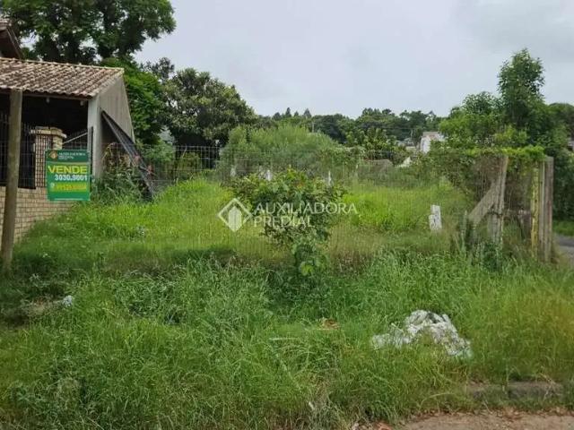 Terreno venda em Campo Novo, Porto Alegre