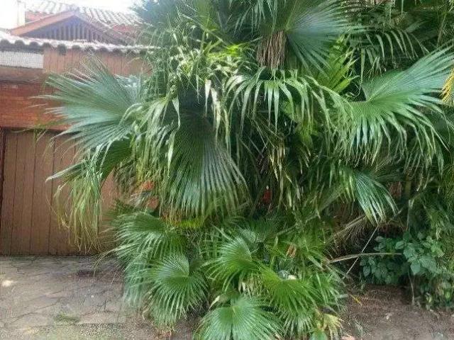 Terreno venda em Região Geográfica Imediata de Porto Alegre, Região Metropolitana de Porto Alegre