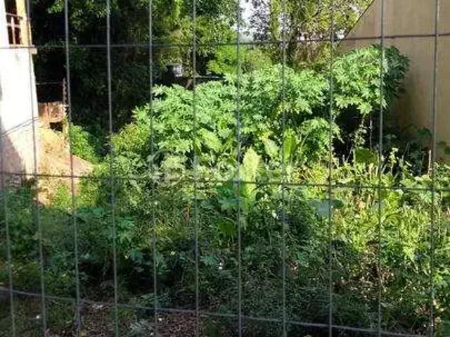 Terreno venda em Região Geográfica Imediata de Porto Alegre, Região Metropolitana de Porto Alegre