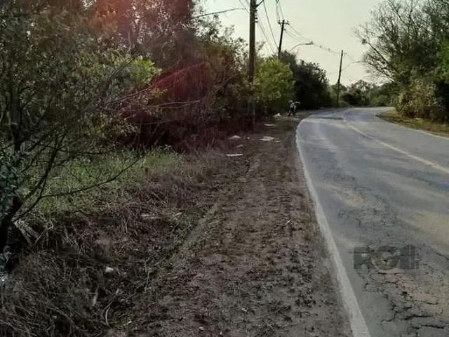 Terreno venda em Ponta Grossa, Porto Alegre