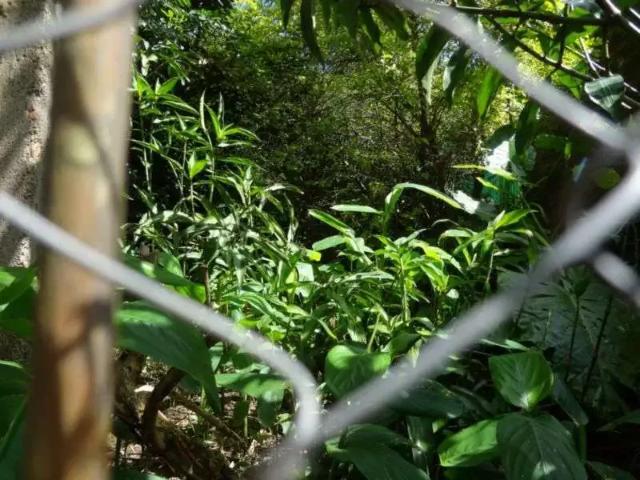 Terreno venda em Região Geográfica Imediata de Porto Alegre, Região Metropolitana de Porto Alegre