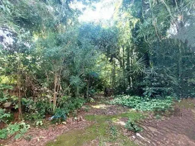 Terreno venda em Região Geográfica Imediata de Porto Alegre, Região Metropolitana de Porto Alegre