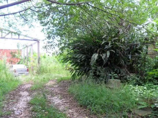 Terreno venda em Região Geográfica Imediata de Porto Alegre, Região Metropolitana de Porto Alegre