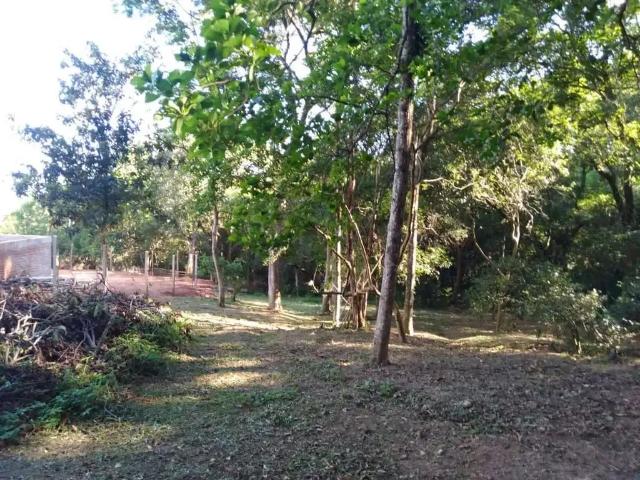 Terreno venda em Região Geográfica Imediata de Porto Alegre, Região Metropolitana de Porto Alegre
