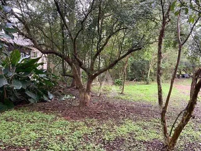 Terreno venda em Região Geográfica Imediata de Porto Alegre, Região Metropolitana de Porto Alegre