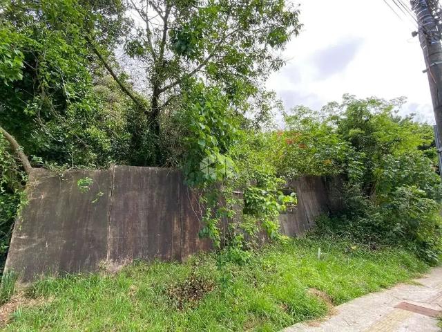 Terreno venda em Região Geográfica Imediata de Porto Alegre, Região Metropolitana de Porto Alegre