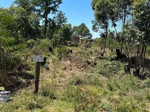 Terreno venda em Região Geográfica Imediata de Porto Alegre, Região Metropolitana de Porto Alegre