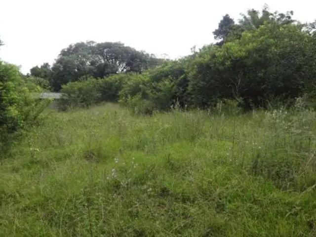Terreno venda em São Caetano, Porto Alegre