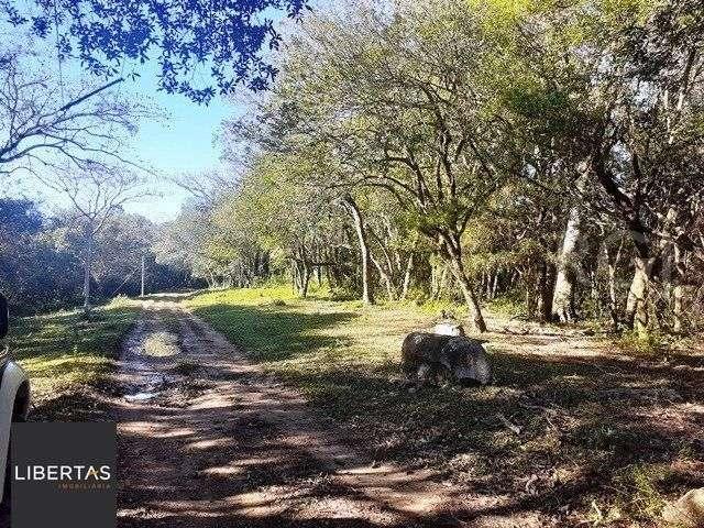 Terreno venda em Região Geográfica Imediata de Porto Alegre, Região Metropolitana de Porto Alegre