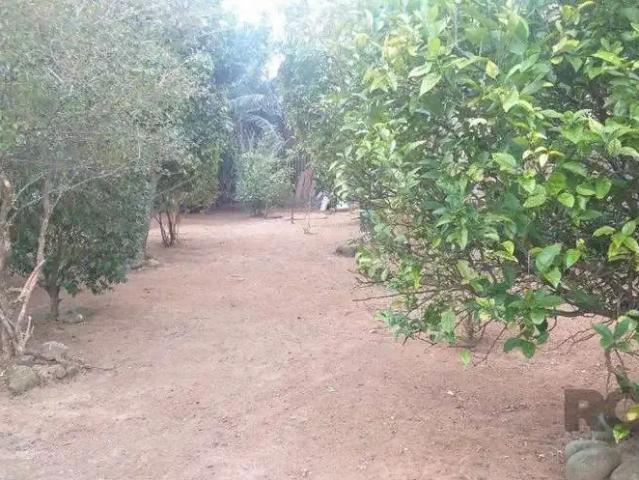 Terreno venda em Região Geográfica Imediata de Porto Alegre, Região Metropolitana de Porto Alegre