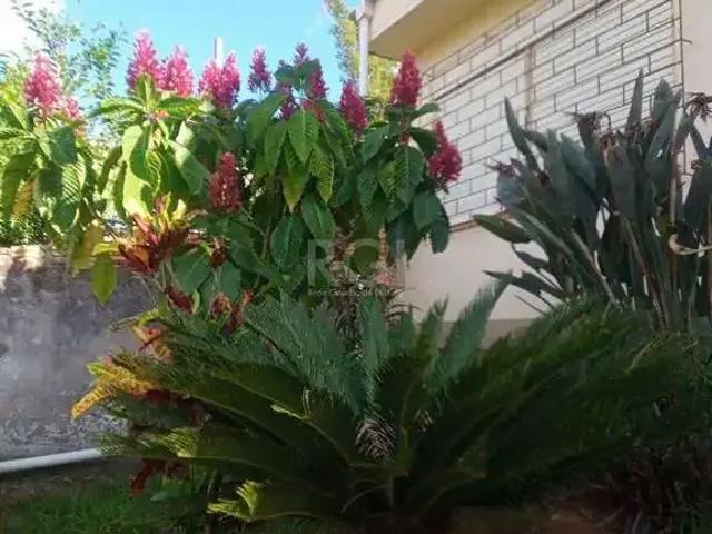 Terreno venda em Região Geográfica Imediata de Porto Alegre, Região Metropolitana de Porto Alegre
