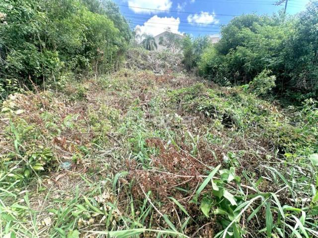 Terreno venda em Ponta Grossa, Porto Alegre