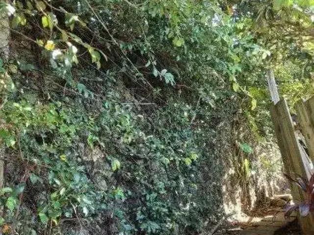 Terreno venda em Região Geográfica Imediata de Porto Alegre, Região Metropolitana de Porto Alegre