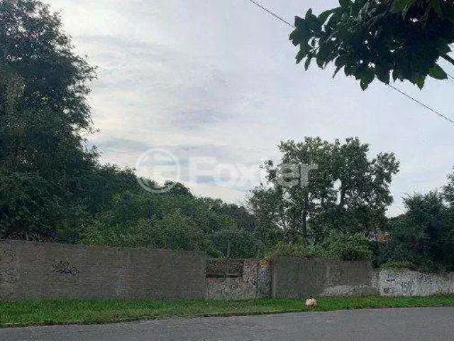 Terreno venda em Região Geográfica Imediata de Porto Alegre, Região Metropolitana de Porto Alegre