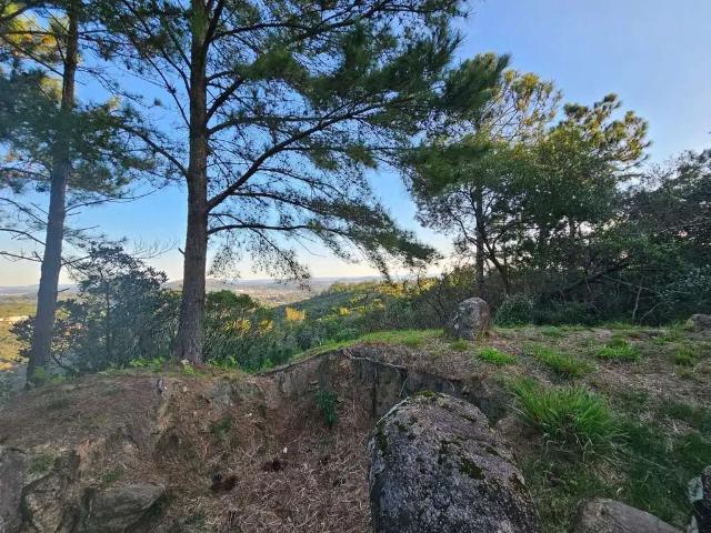 Terreno venda em Região Geográfica Imediata de Porto Alegre, Região Metropolitana de Porto Alegre