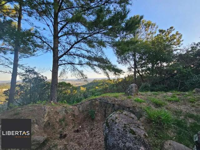 Terreno venda em Região Geográfica Imediata de Porto Alegre, Região Metropolitana de Porto Alegre