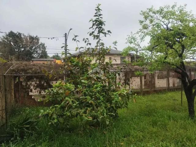 Terreno venda em Vila Jardim, Porto Alegre