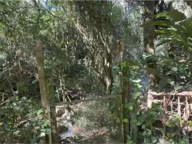 Terreno venda em Região Geográfica Imediata de Porto Alegre, Região Metropolitana de Porto Alegre