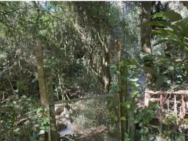 Terreno venda em Vila Nova, Porto Alegre