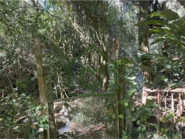 Terreno venda em Vila Nova, Porto Alegre