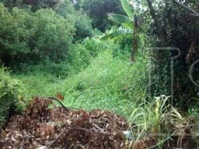 Terreno venda em Região Geográfica Imediata de Porto Alegre, Região Metropolitana de Porto Alegre