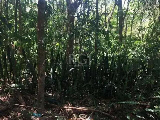 Terreno venda em Campo Novo, Porto Alegre