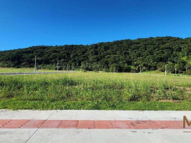 Terreno venda em Porto Belo, Alto Perequê