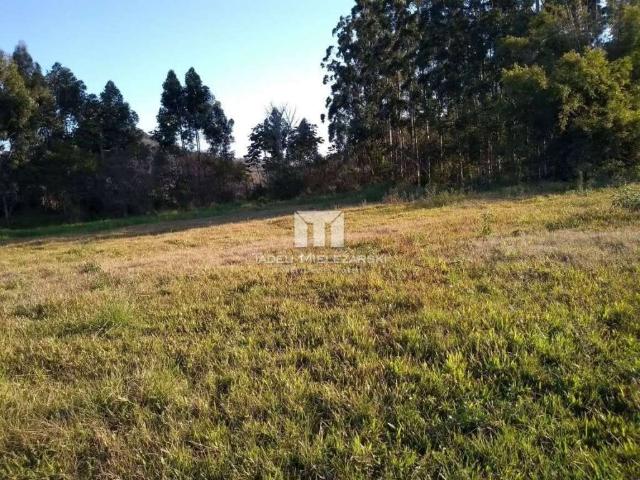 Terreno venda em Porto Belo, Alto Perequê