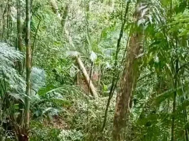 Terreno venda em Região Geográfica Imediata de Itajaí, Porto Belo