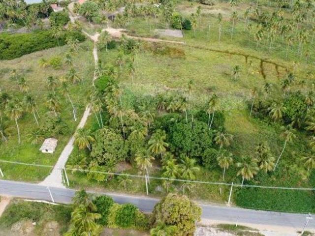 Terreno venda em Porto de Pedras