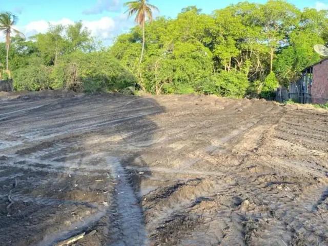Terreno venda em Tatuamunha, Porto de Pedras