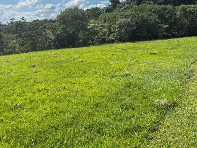 Terreno venda em Vila Angélica, Porto Feliz