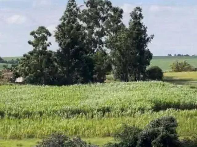 Terreno venda em Região Imediata de Sorocaba, Região Metropolitana de Sorocaba