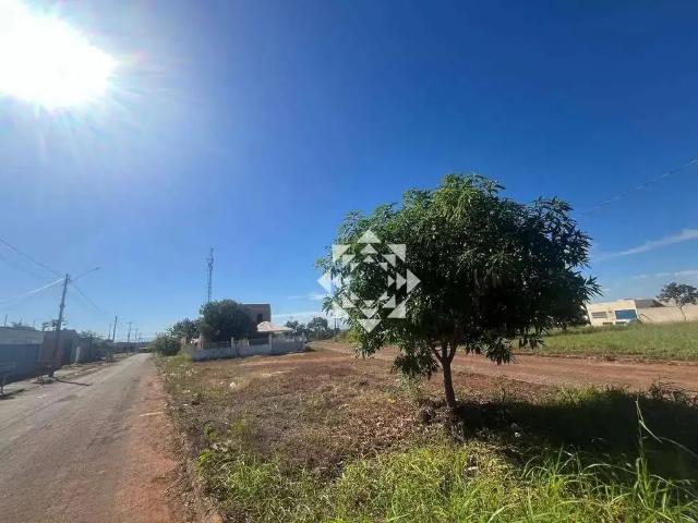 Terreno venda em Região Geográfica Imediata de Porto Nacional, Porto Nacional