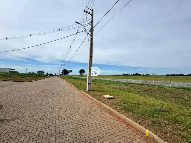 Terreno venda em Região Geográfica Imediata de Loanda, Porto Rico