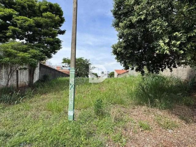 Terreno venda em Região Geográfica Imediata de Loanda, Porto Rico