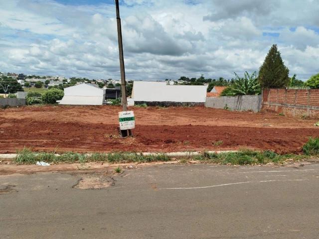 Terreno venda em Jardim Grécia, Porto Rico