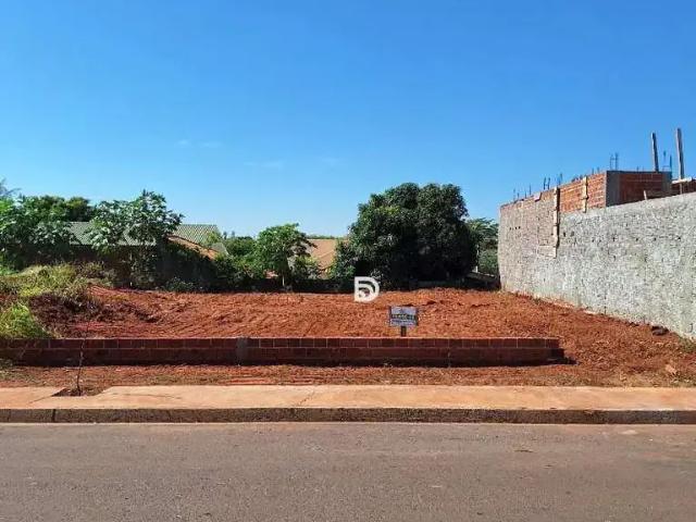 Terreno venda em Região Geográfica Imediata de Loanda, Porto Rico