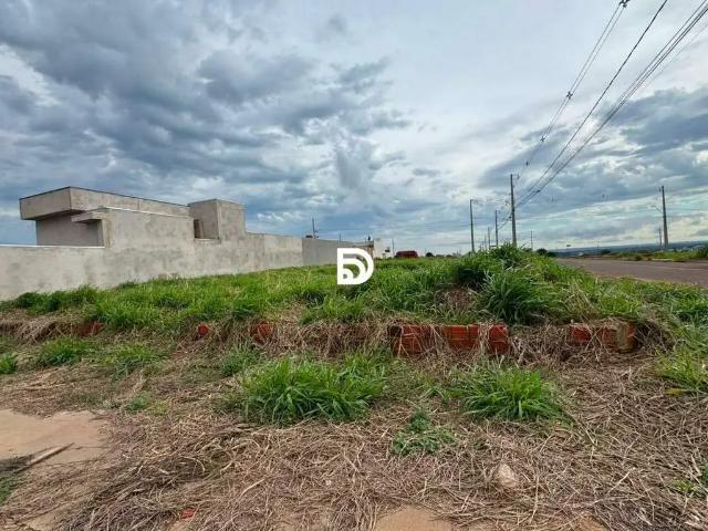 Terreno venda em Região Geográfica Imediata de Loanda, Porto Rico